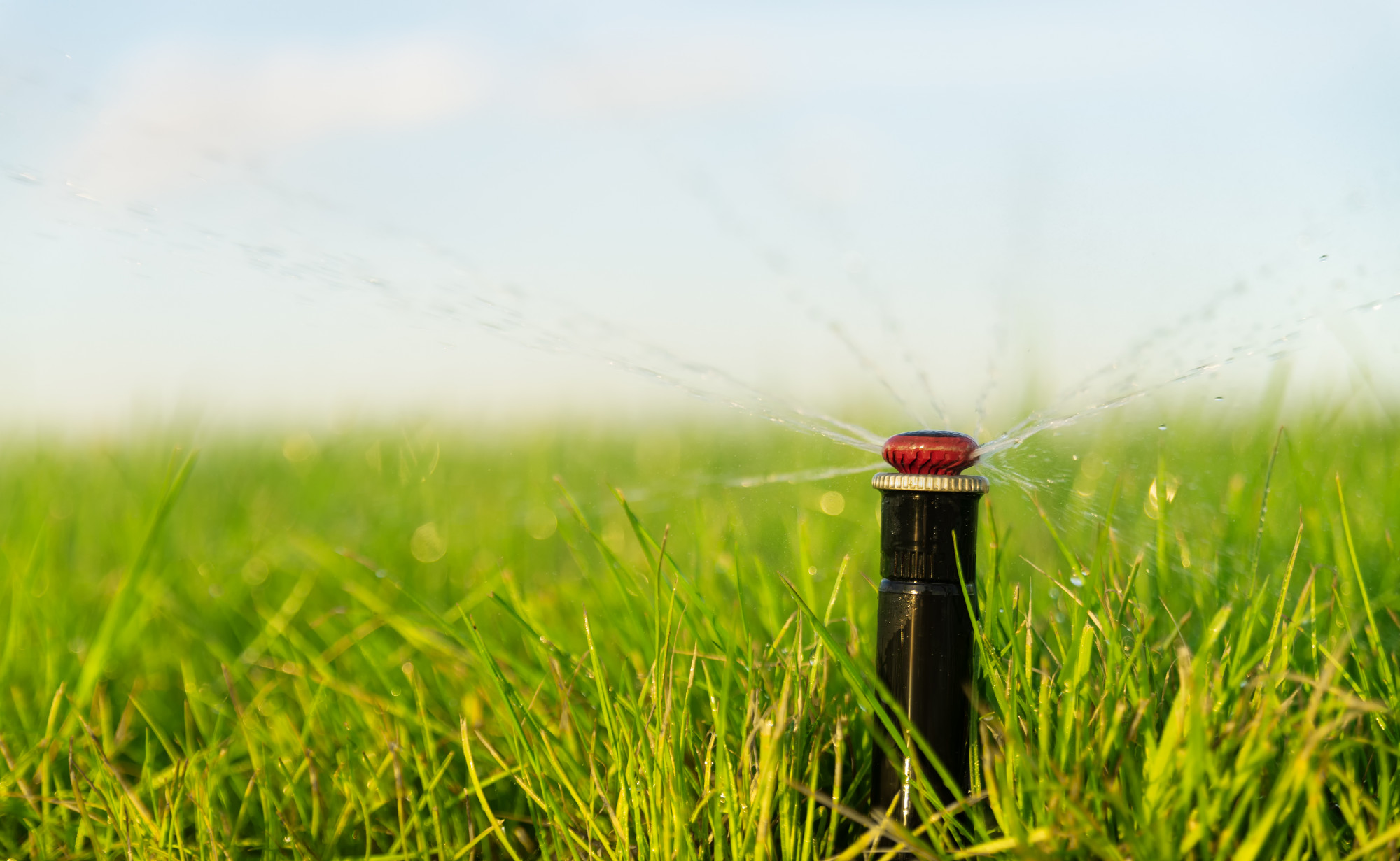 automatic-sprinkler-watering-lawn-irrigation-system-lawn-care-close-up_141856-472 Arrosage automatique